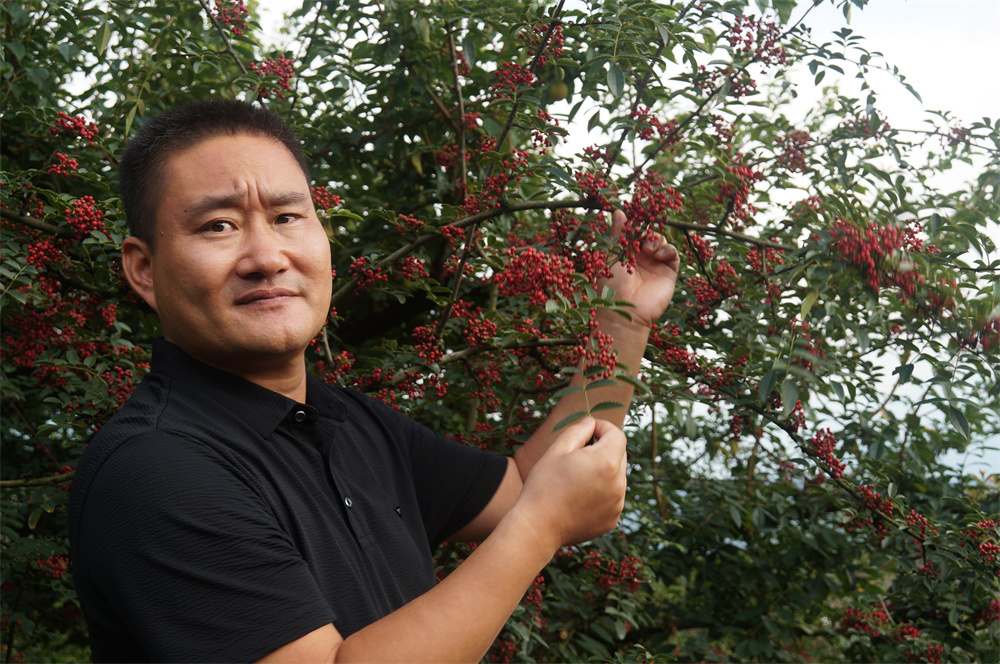 rb88随行版2022大事记